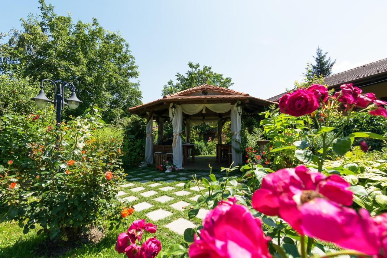 Hotel Bielmann Sînpetru 外观 照片