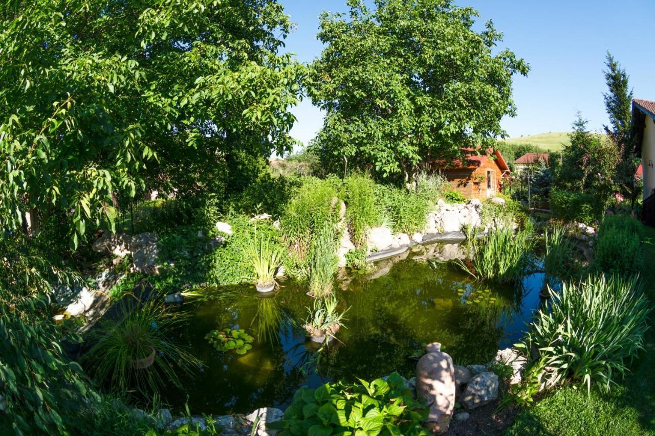 Hotel Bielmann Sînpetru 外观 照片