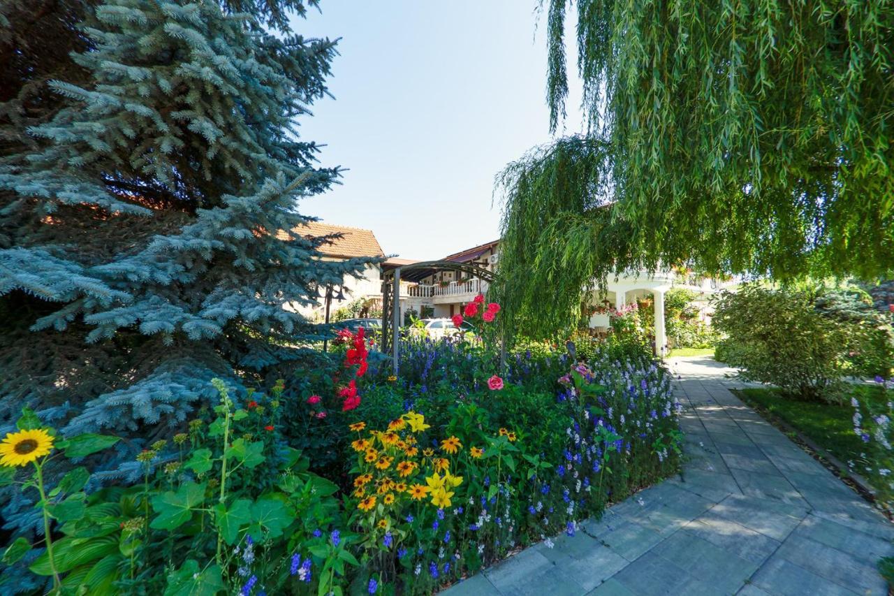 Hotel Bielmann Sînpetru 外观 照片